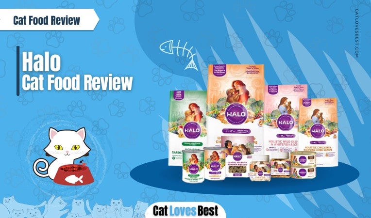 Halo Cat Food Review and Recalls