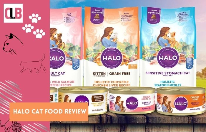 Halo Cat Food Review