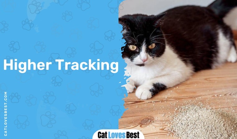Higher Tracking in Clumping Litter