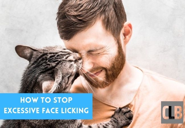 how to stop cats from excessive face licking 