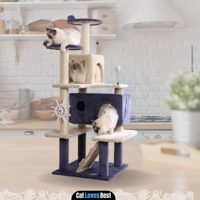 hyabi cat tree and activity playhouse