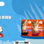 iams cat food review of the year