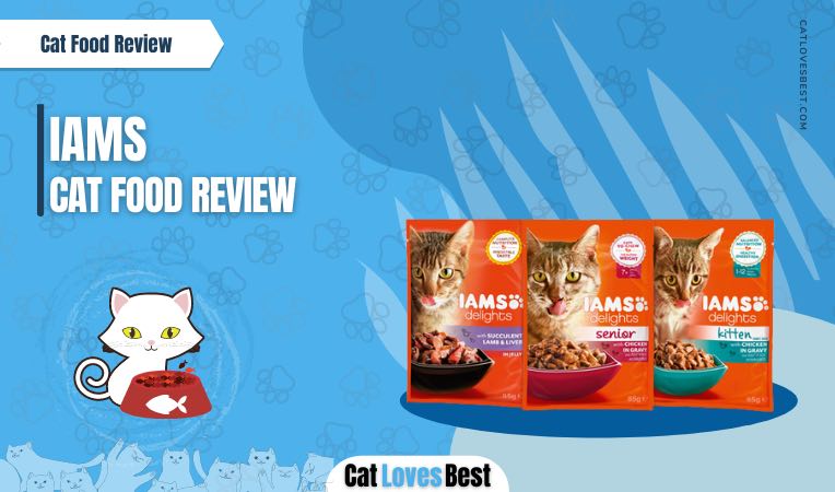 iams cat food review of the year