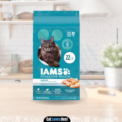 iams proactive persian cat food