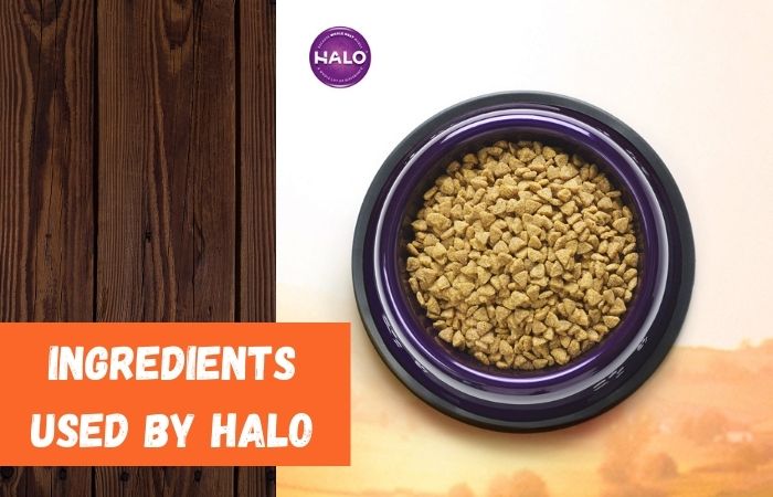 ingredients used in halo cat food