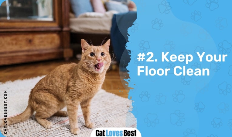 keep your floor clean