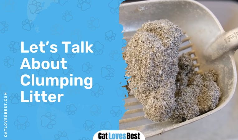 Let's Talk About Clumping Litter