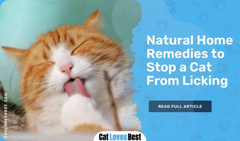 natural home remedies to stop a cat from licking