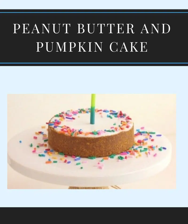 peanut butter and pumpkin cake recipe