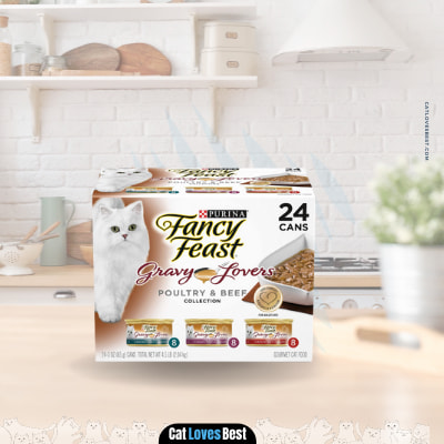 purina fancy wet cat food