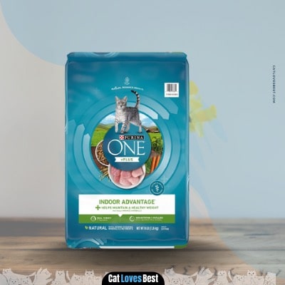 Purina One Indoor Adult Cat Food