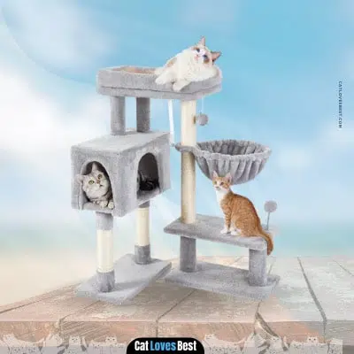 rabbitgoo cat tree condo