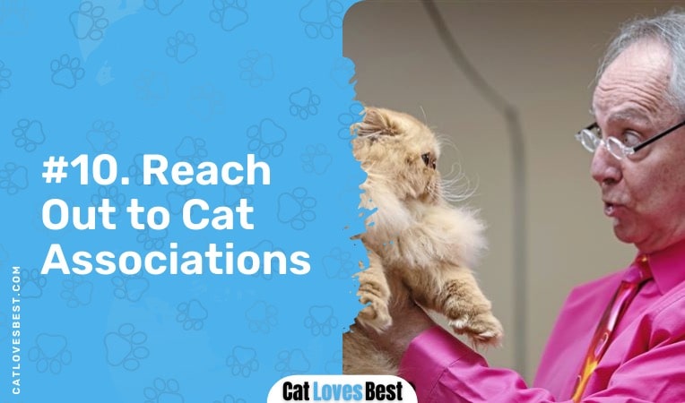 reach out to cat associations