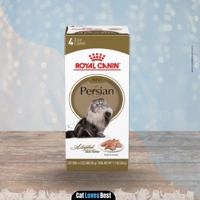 royal canin persian wet cat food