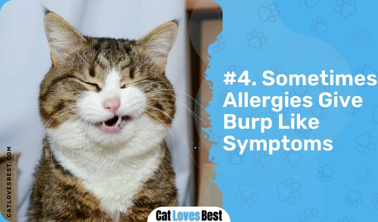 sometimes allergies give burp like symptoms