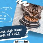 the 10 best high fiber cat food