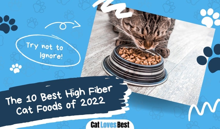 the 10 best high fiber cat food
