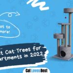 the 9 best cat trees for small apartments