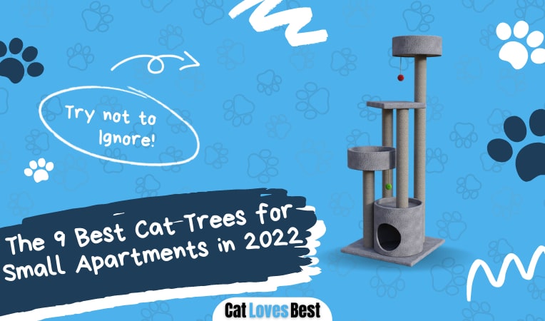 the 9 best cat trees for small apartments