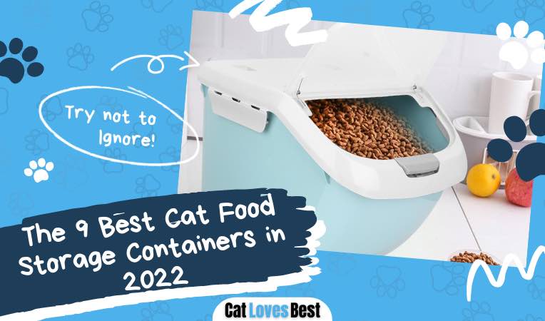 the best cat food containers