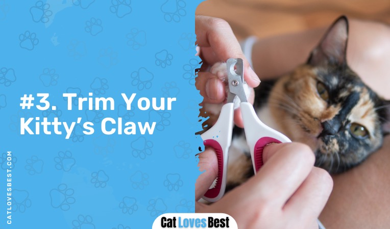 trim your cats claw