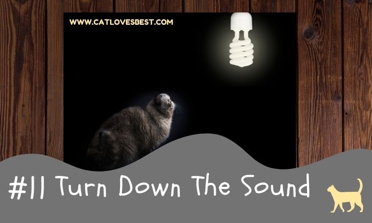 Turning Down Sound for Cats During Nighttime