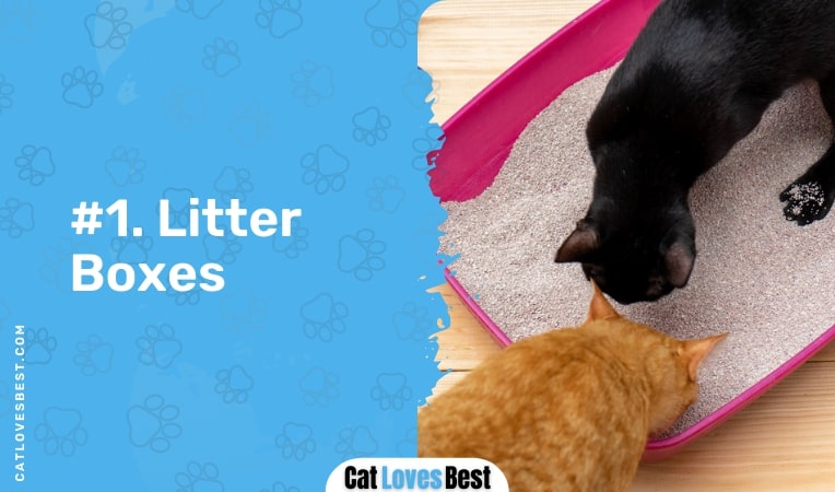 two cats in one litter box