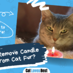two easy ways to remove candle wax out of your cat's fur