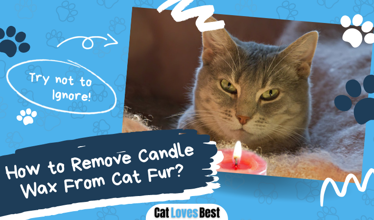 two easy ways to remove candle wax out of your cat's fur