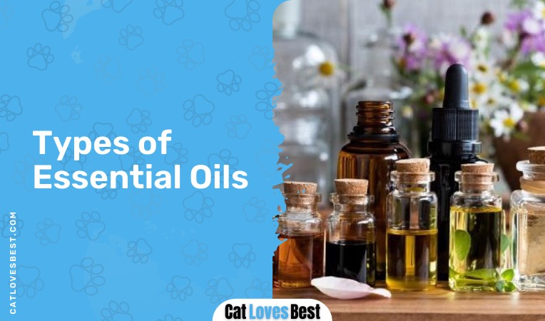 types of essential oils