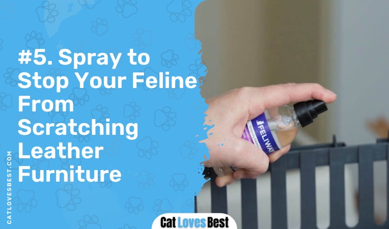use cat calming spray to stop your cat from scratching the leather furniture