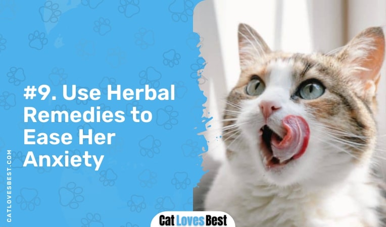 use herbal remedies to ease her anxiety