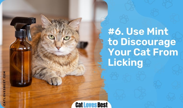 use mint to discourage your cat from licking