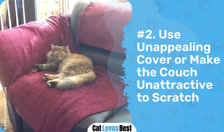 use unappealing cover or make the couch unattractive to scratch