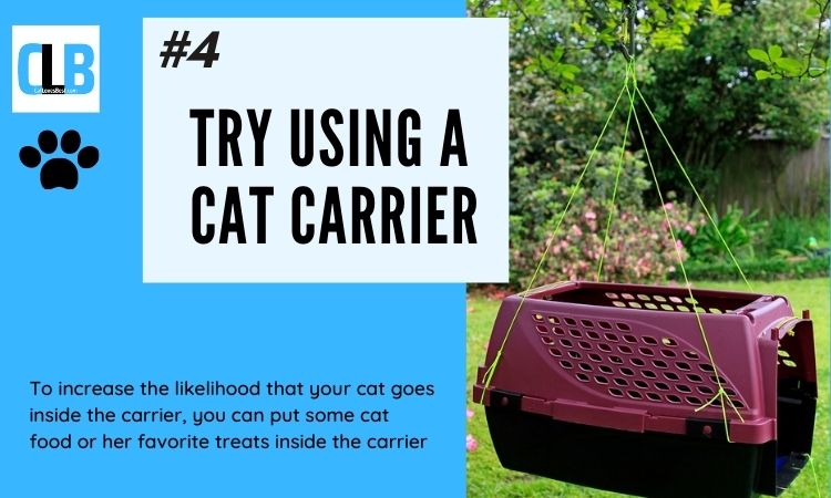 using a cat carrier to bring cat down from tree