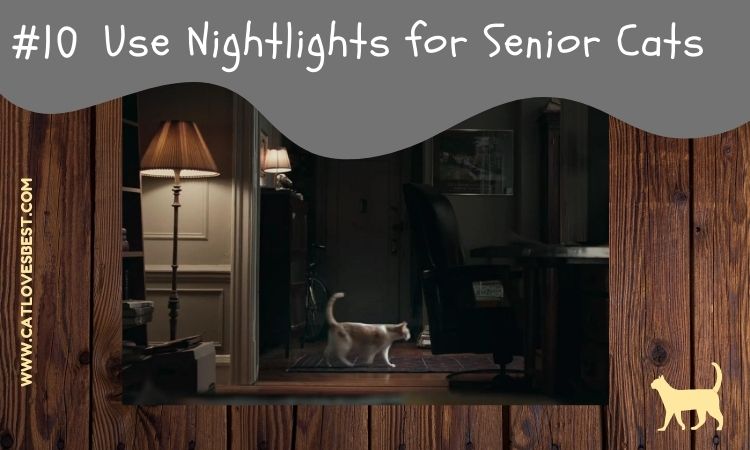 Using Nightlights for Senior Cats