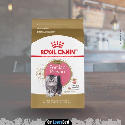 Royal Canin Persian Dry Kitten Food