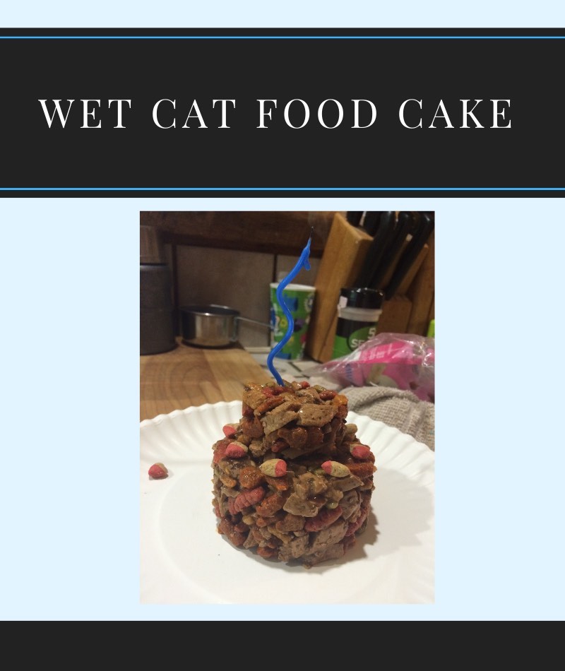 wet cat food cake recipe