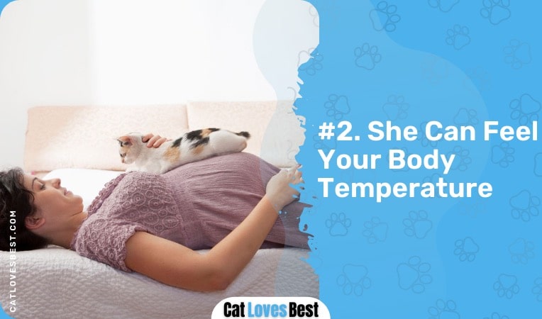 your cat can feel your body temperature