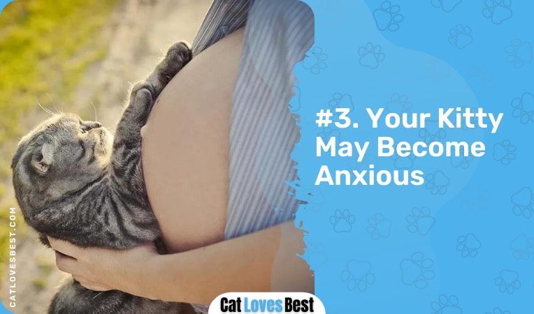 your cat may become anxious