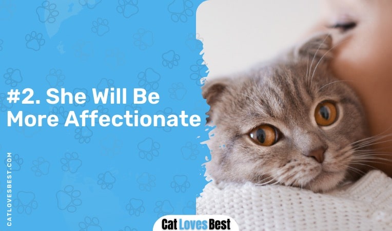 your cat will be more affectionate