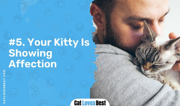 your kitty is showing affection