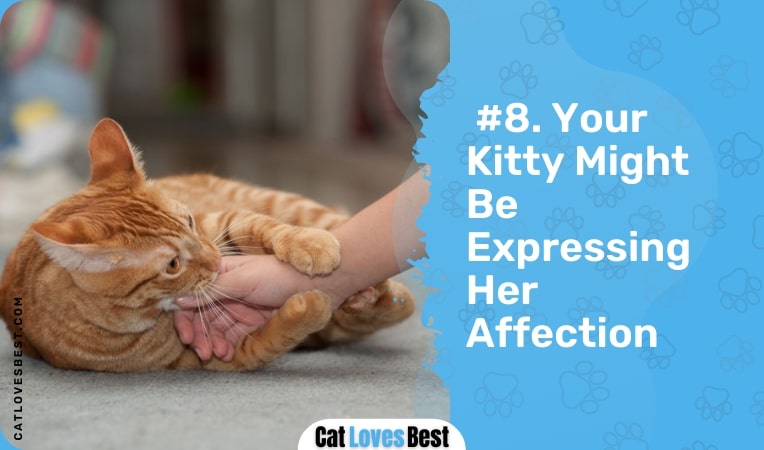 your kitty might be expressing her affection