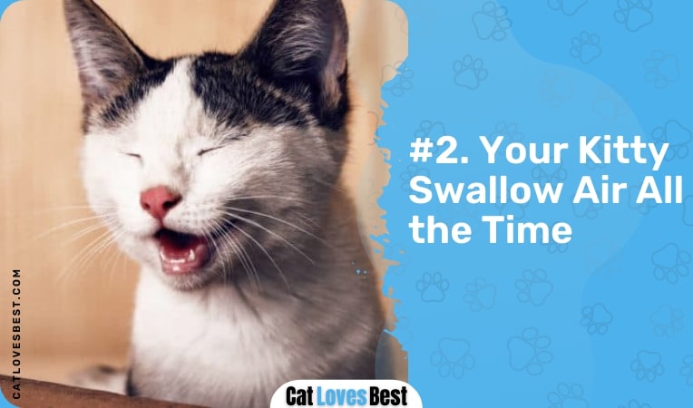 your kitty swallow air all the time