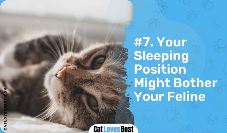your sleeping position is bothering your cat