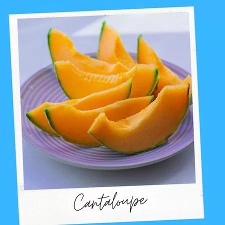 Cantaloupe Safe for Cats to Eat
