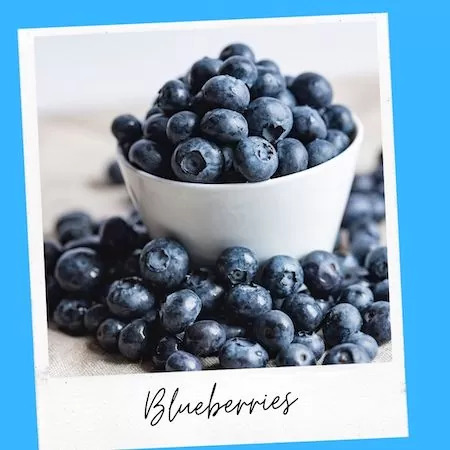 Blueberries Safe for Cats