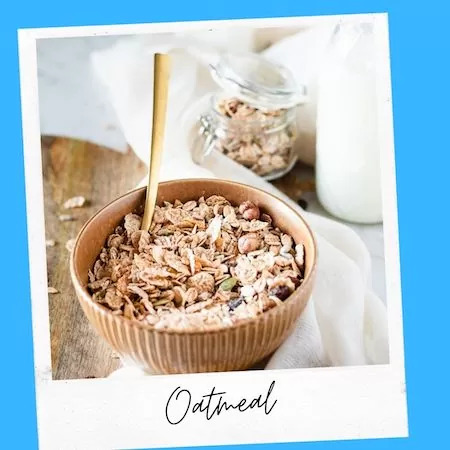 Oatmeal Safe for Cats