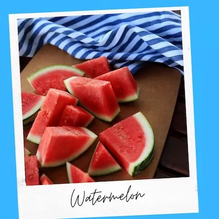 Watermelon Healthy for Cats