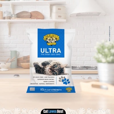 Best Cat Litter or Heavy Urination